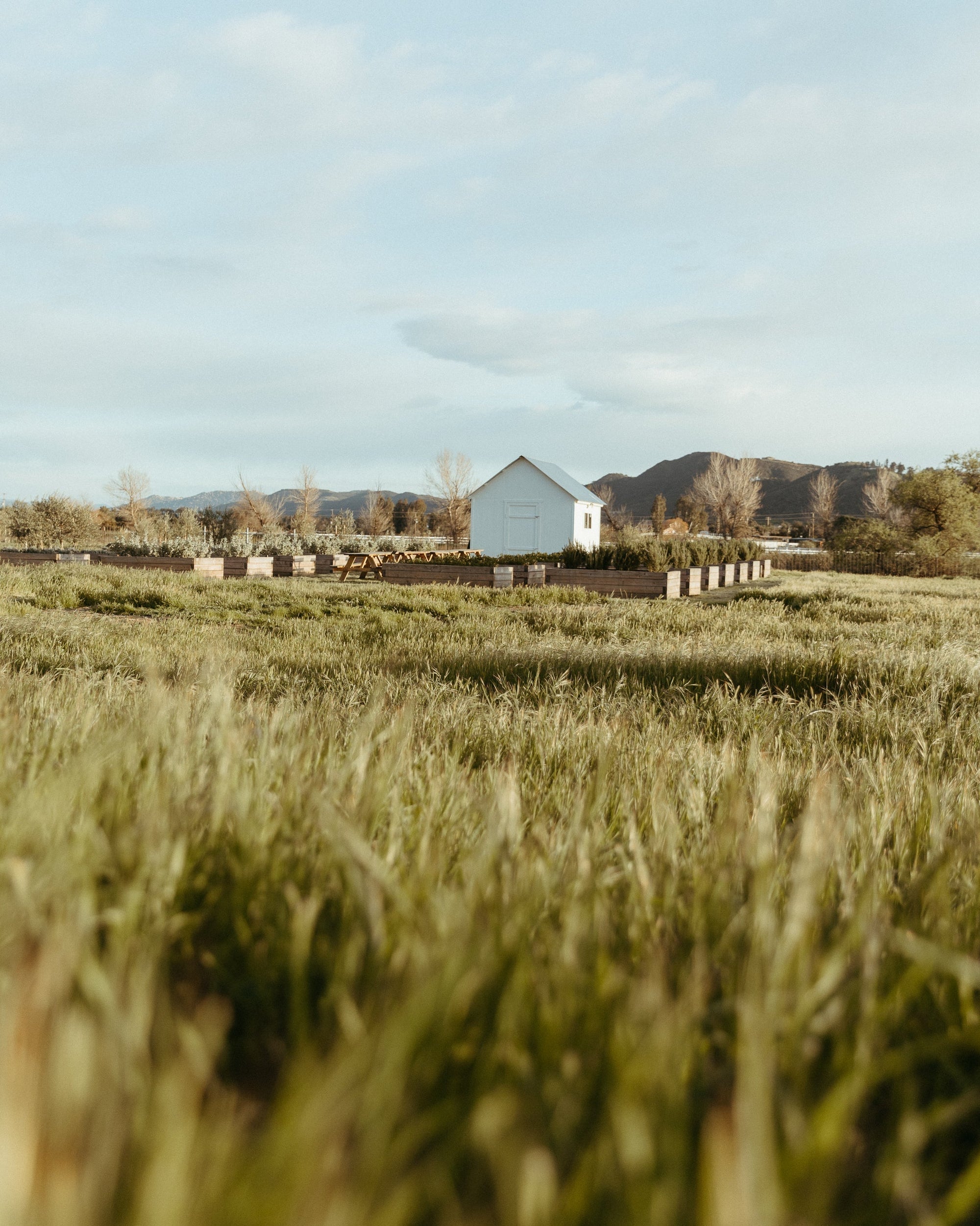 a photo of the farm with a small farm shed and herb boxes
