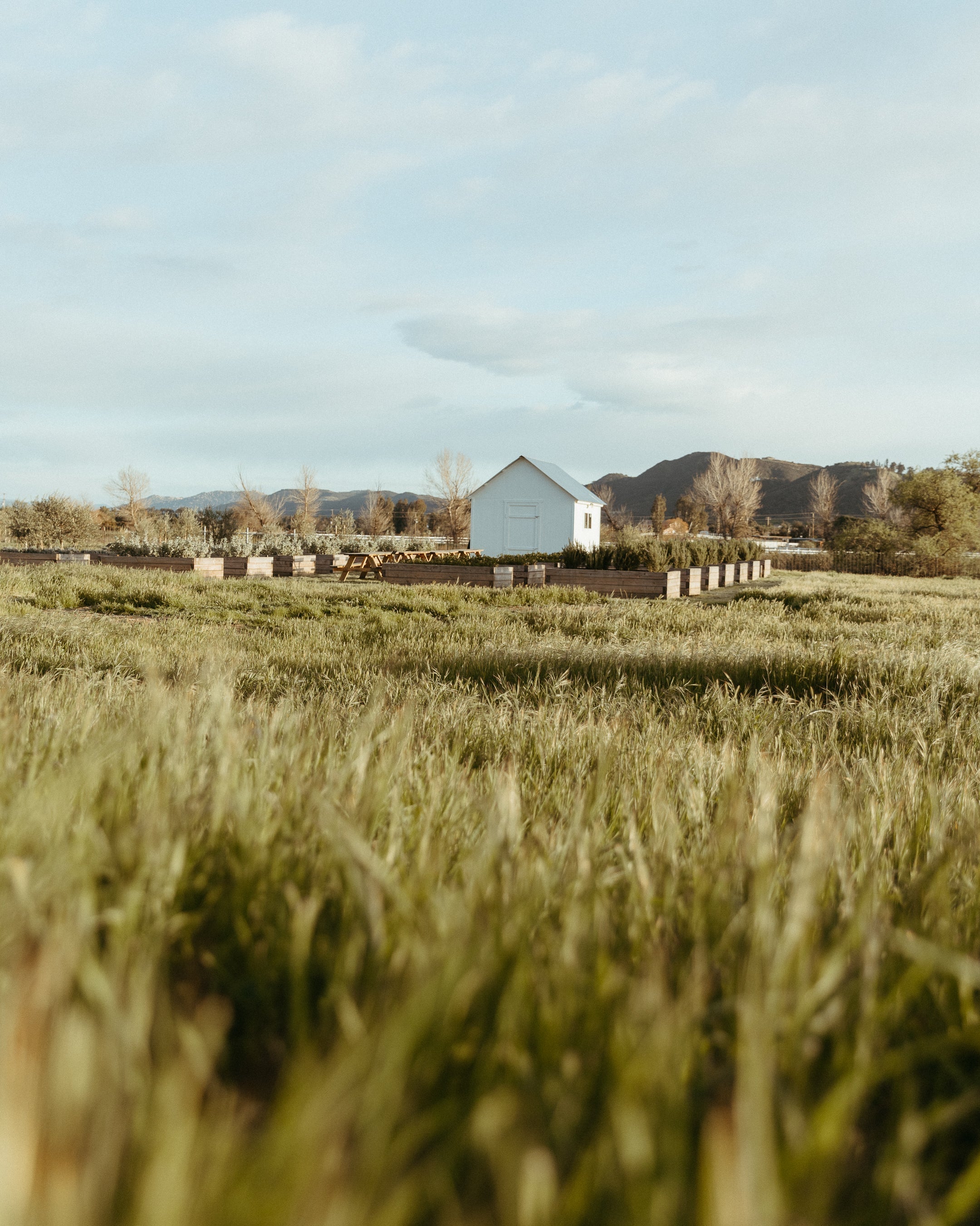a photo of the farm with a small farm shed and herb boxes