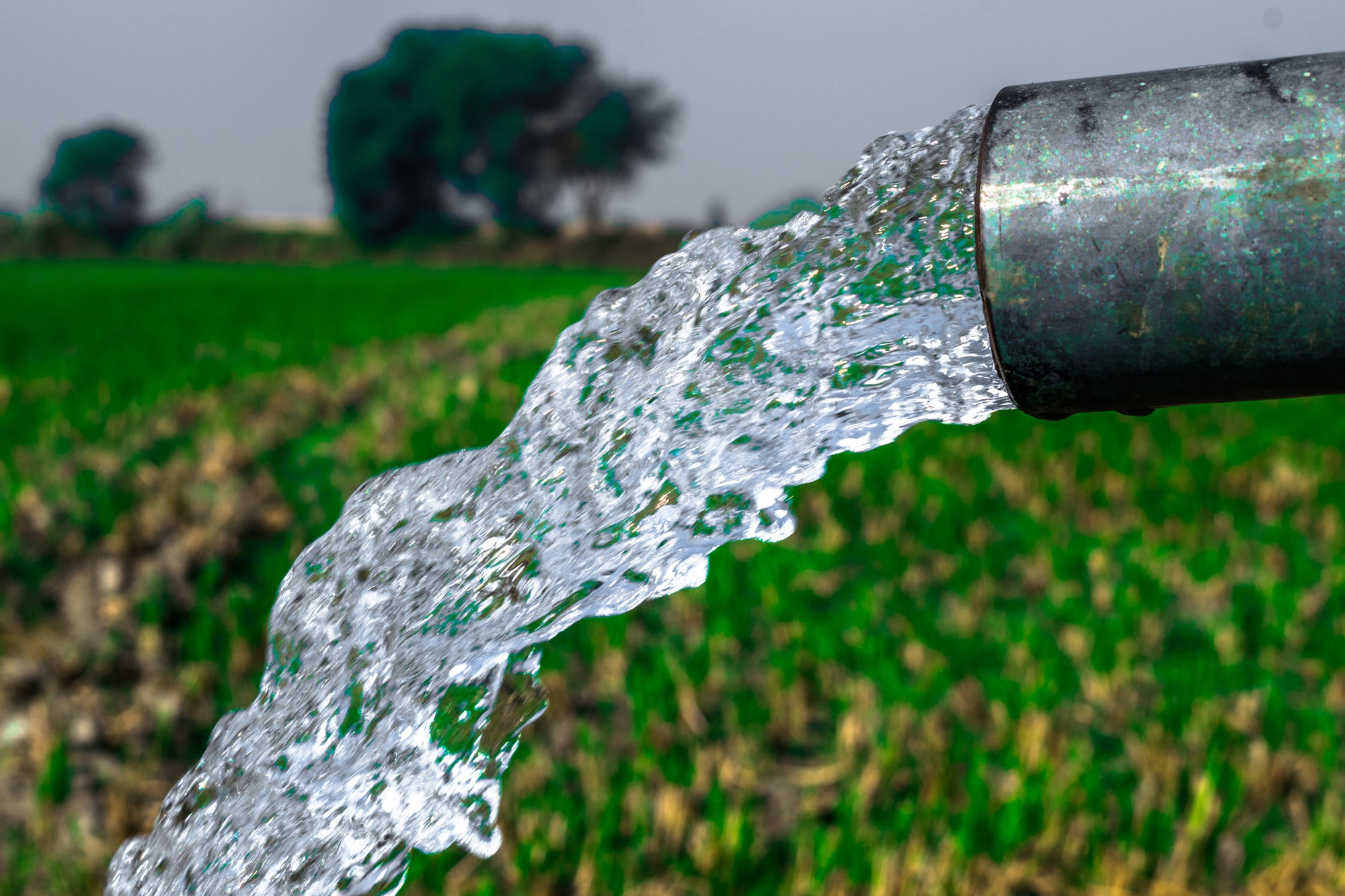 Well Water Test Results