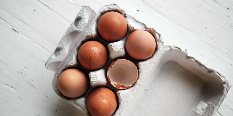 Eggs 101: What to Look for When Shopping for Eggs