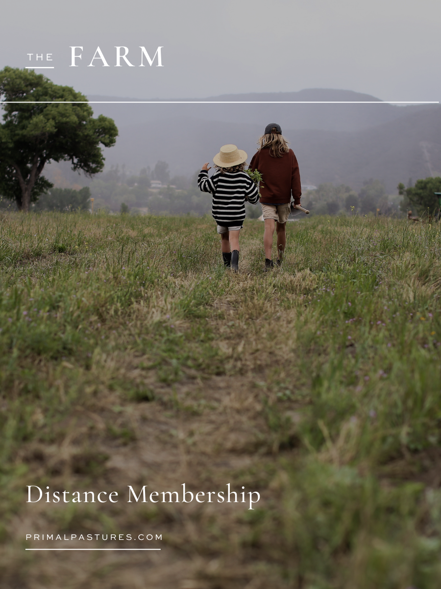 Distance Membership (Earlybird)