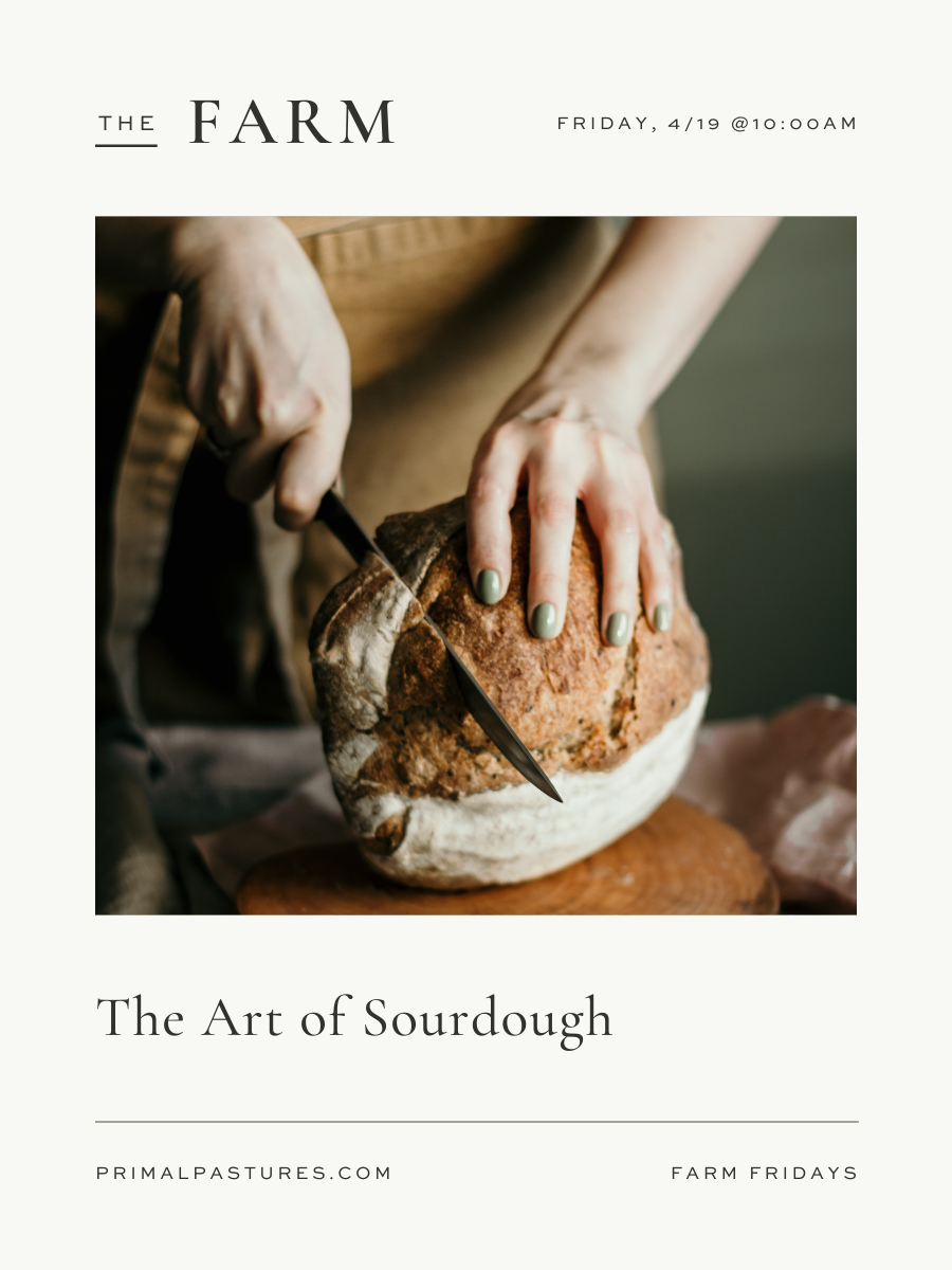 4/19: The Art of Sourdough with Andrea