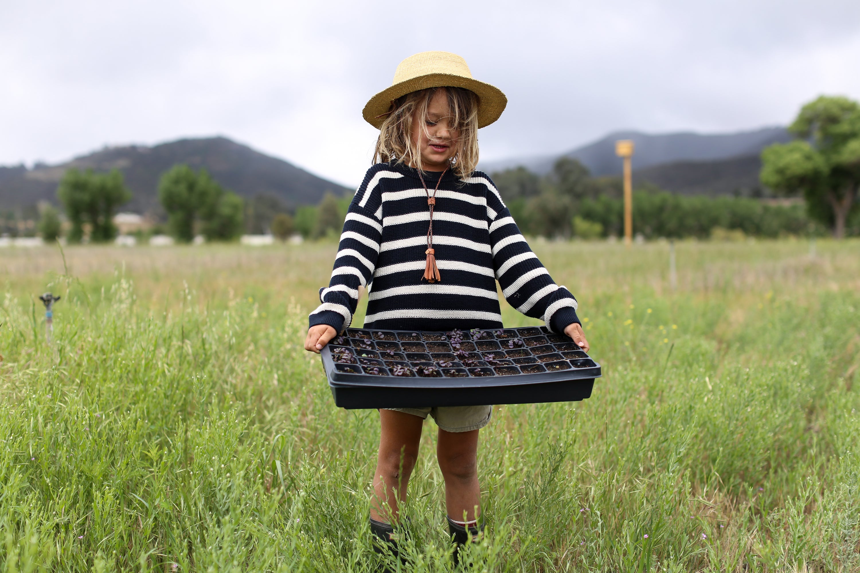 Child in a striped sweater and straw hat standing in a lush field, holding a tray of seedlings, symbolizing the farm-to-table approach of grass-fed meats production.