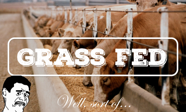 The Great Lie of Grass-Fed Beef