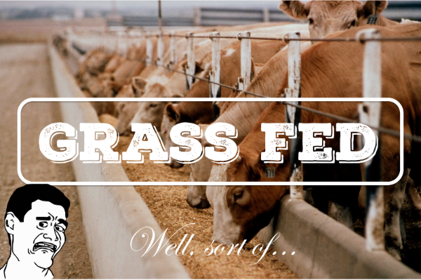 The Great Lie of Grass-Fed Beef
