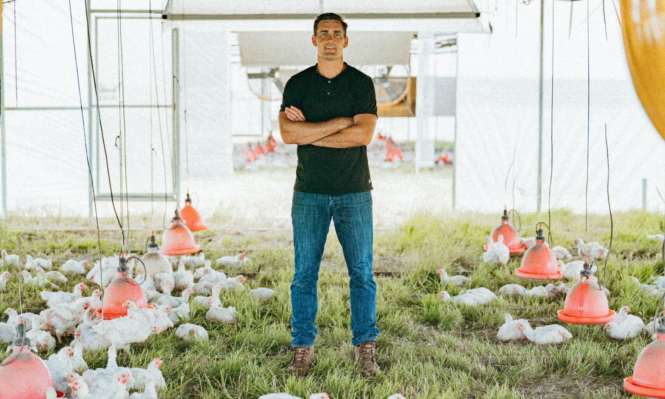 Pasture Raised Chicken Nutrition: How Feed Affects Omega-6, DHA & B Vitamins