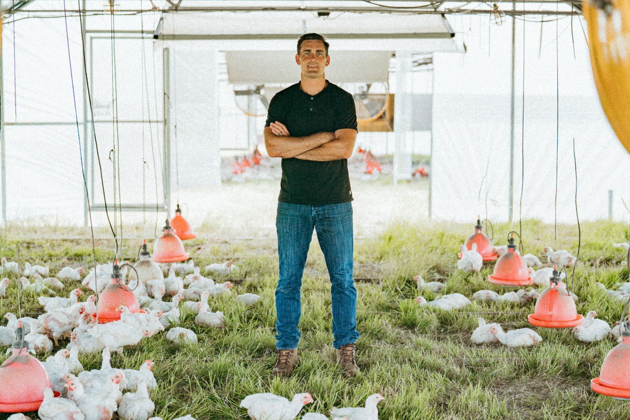 Pasture Raised Chicken Nutrition: How Feed Affects Omega-6, DHA & B Vitamins