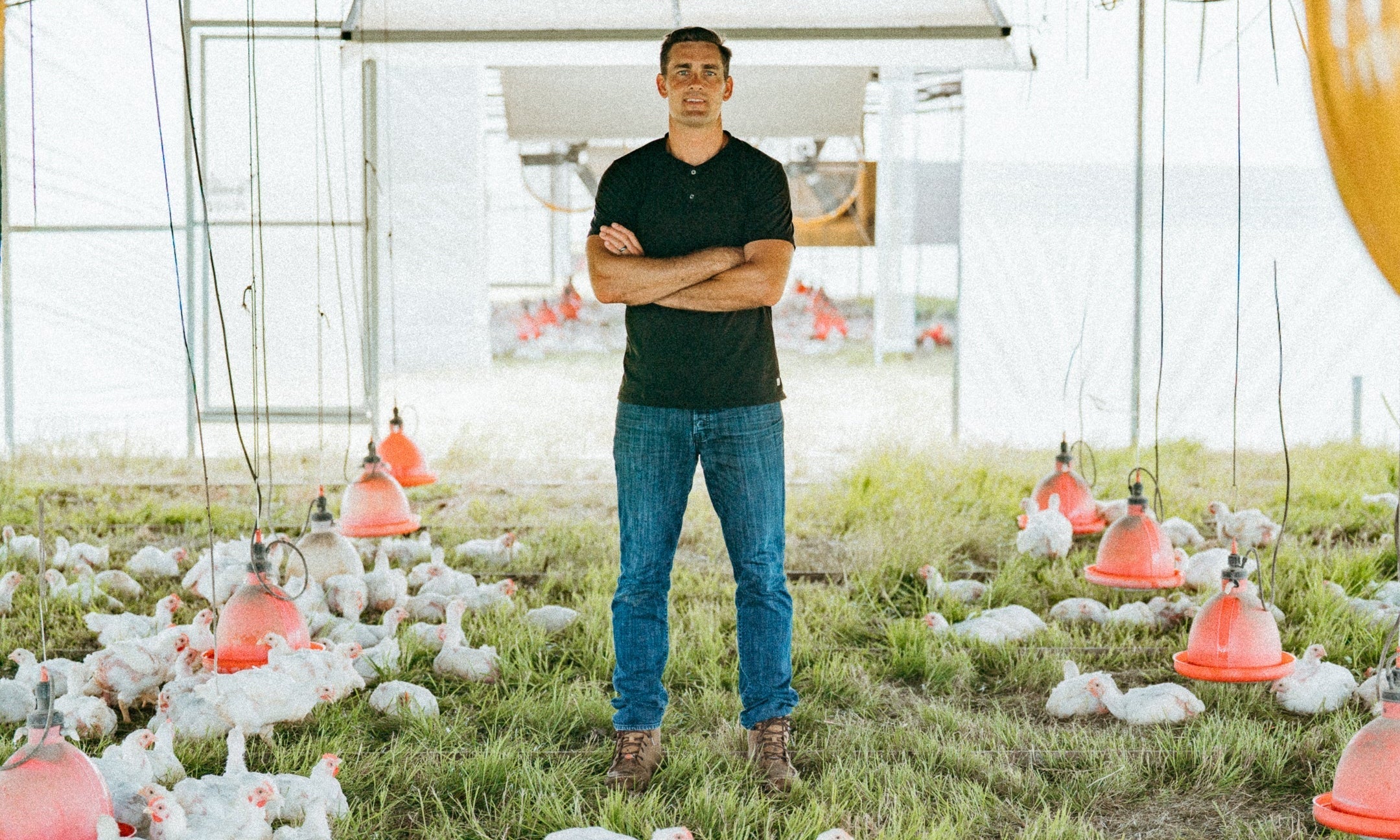 Pasture Raised Chicken Nutrition: How Feed Affects Omega-6, DHA & B Vitamins