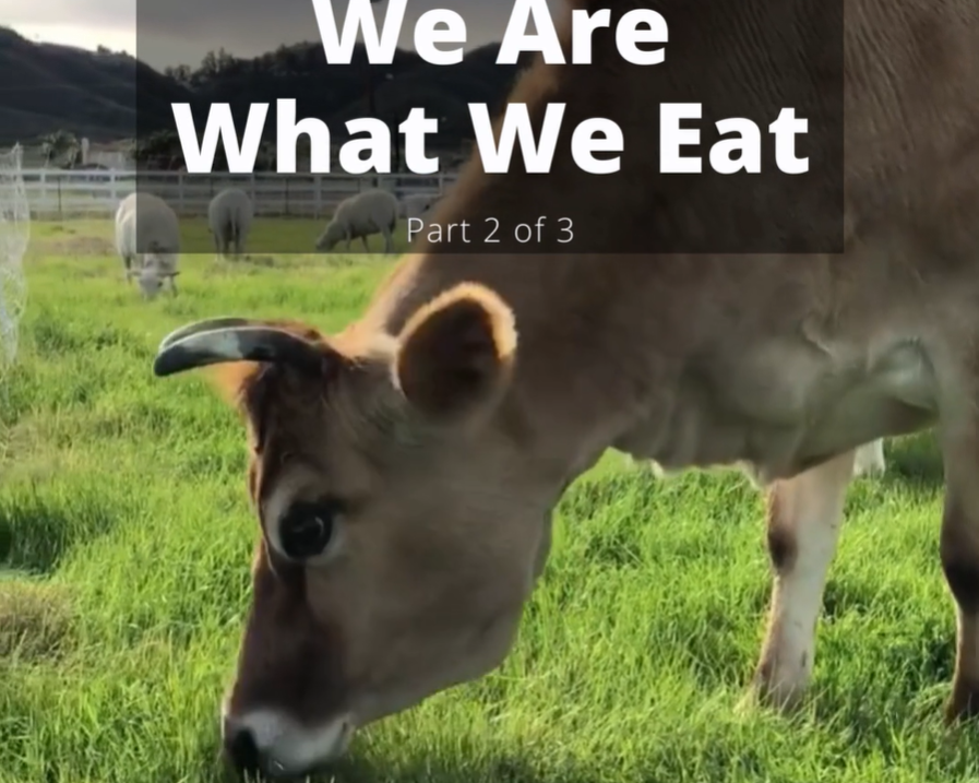 We Are What We Eat - Part 2 of 3
