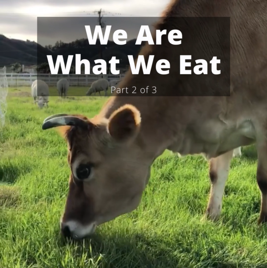 We Are What We Eat - Part 2 of 3