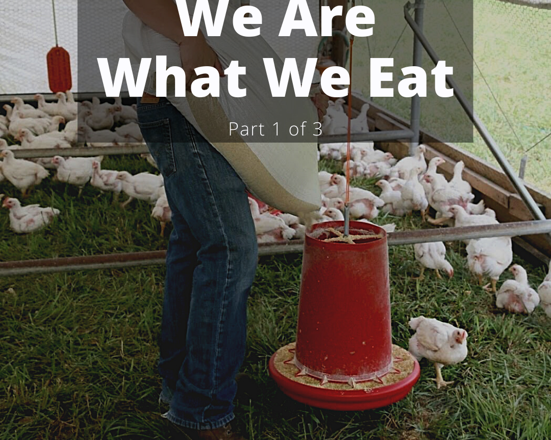 We Are What We Eat - Part 1 of 3