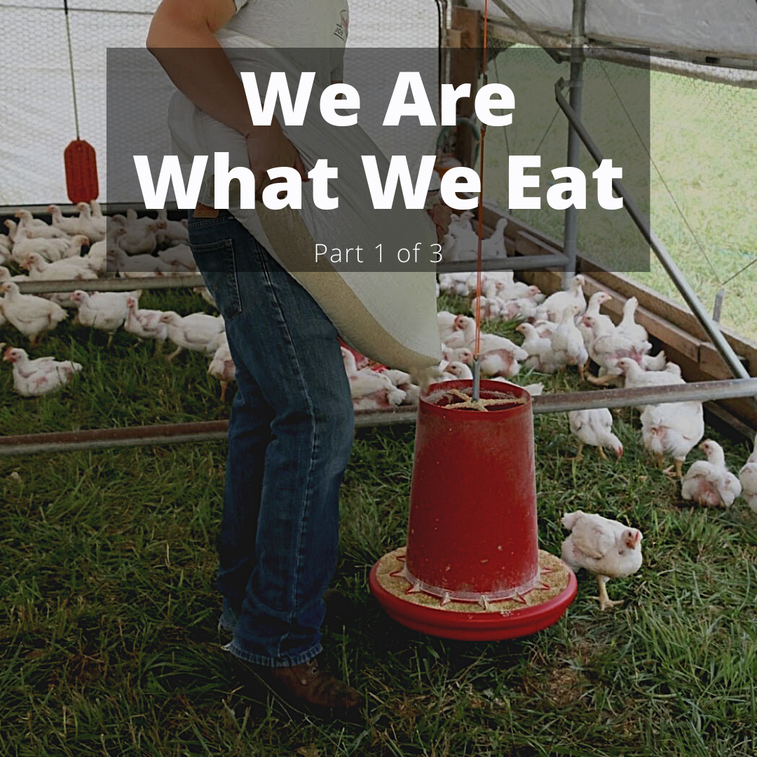 We Are What We Eat - Part 1 of 3