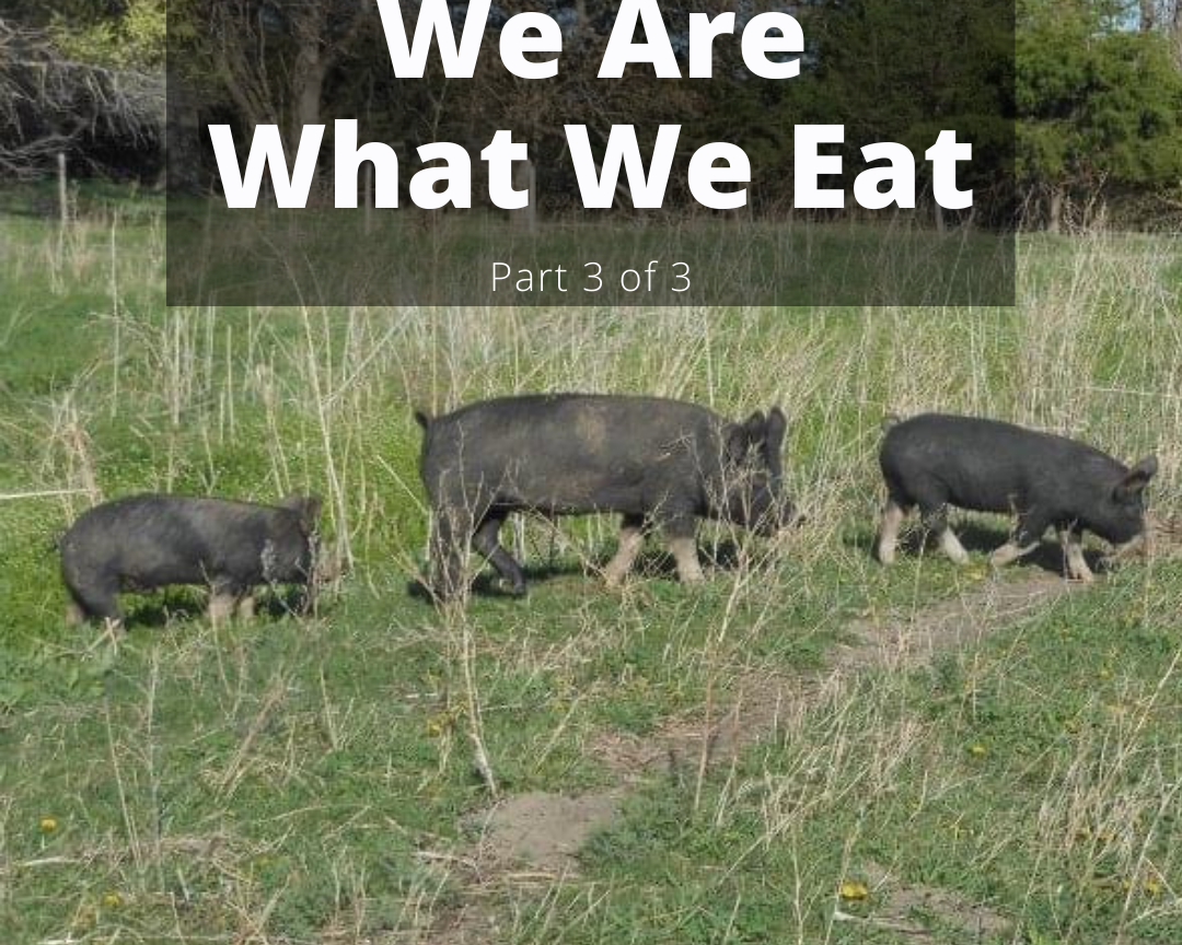 We Are What We Eat - Part 3 of 3