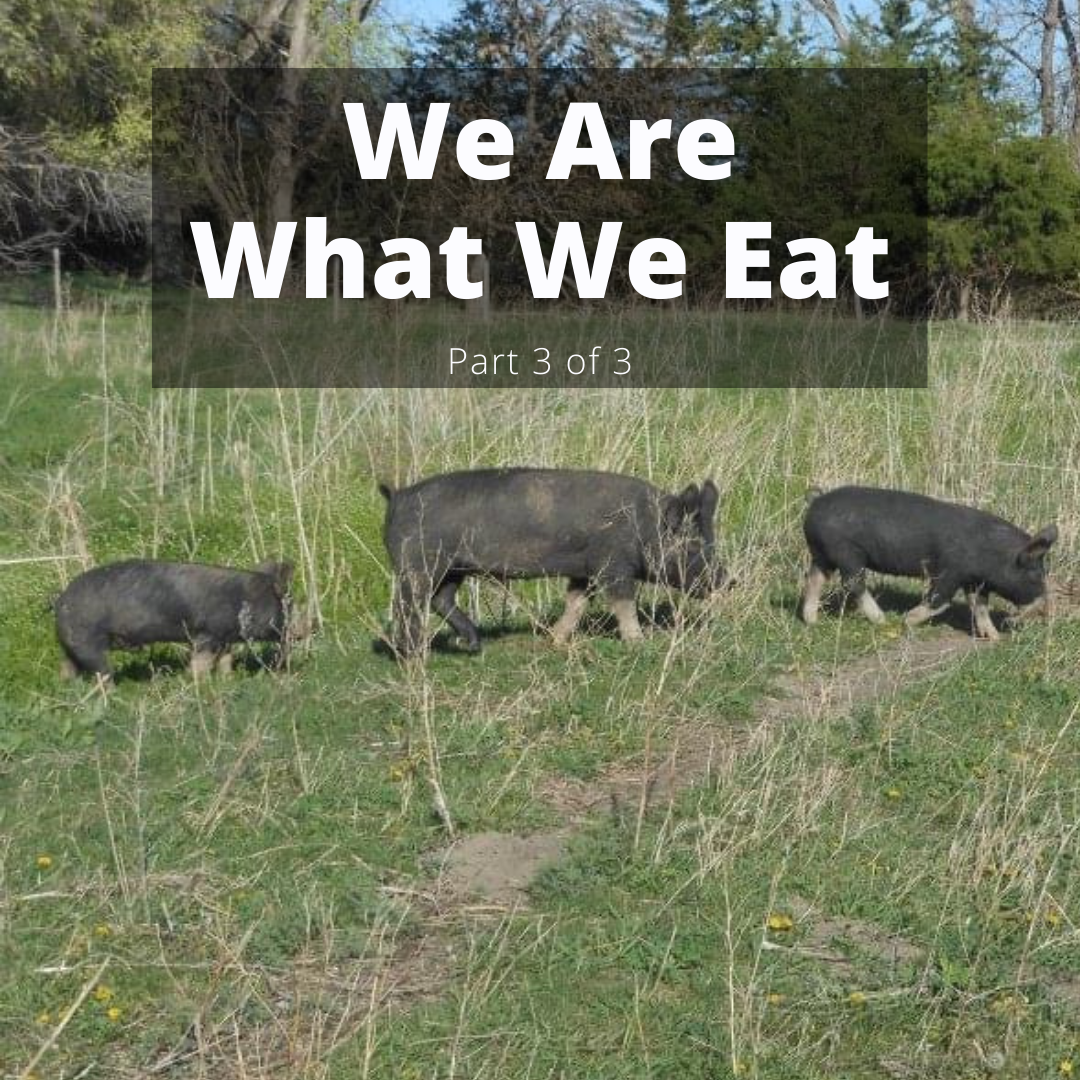 We Are What We Eat - Part 3 of 3