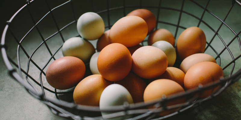 Eggs 101: How to Spot a Healthy Egg