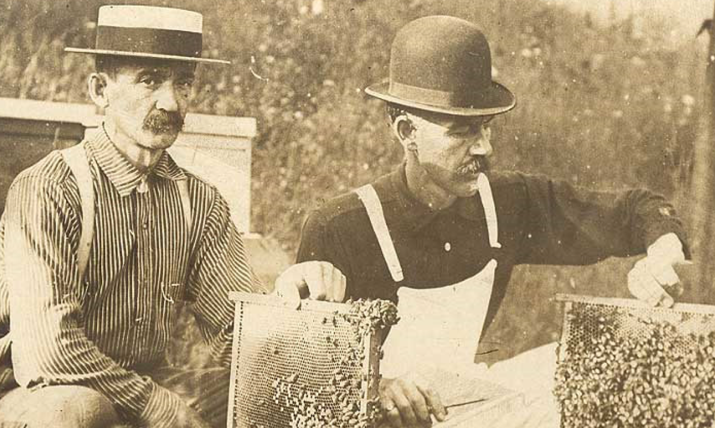 The not-so-sweet truth about "Big-Honey"