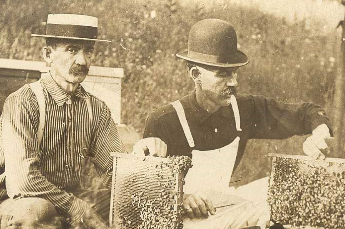 The not-so-sweet truth about "Big-Honey"