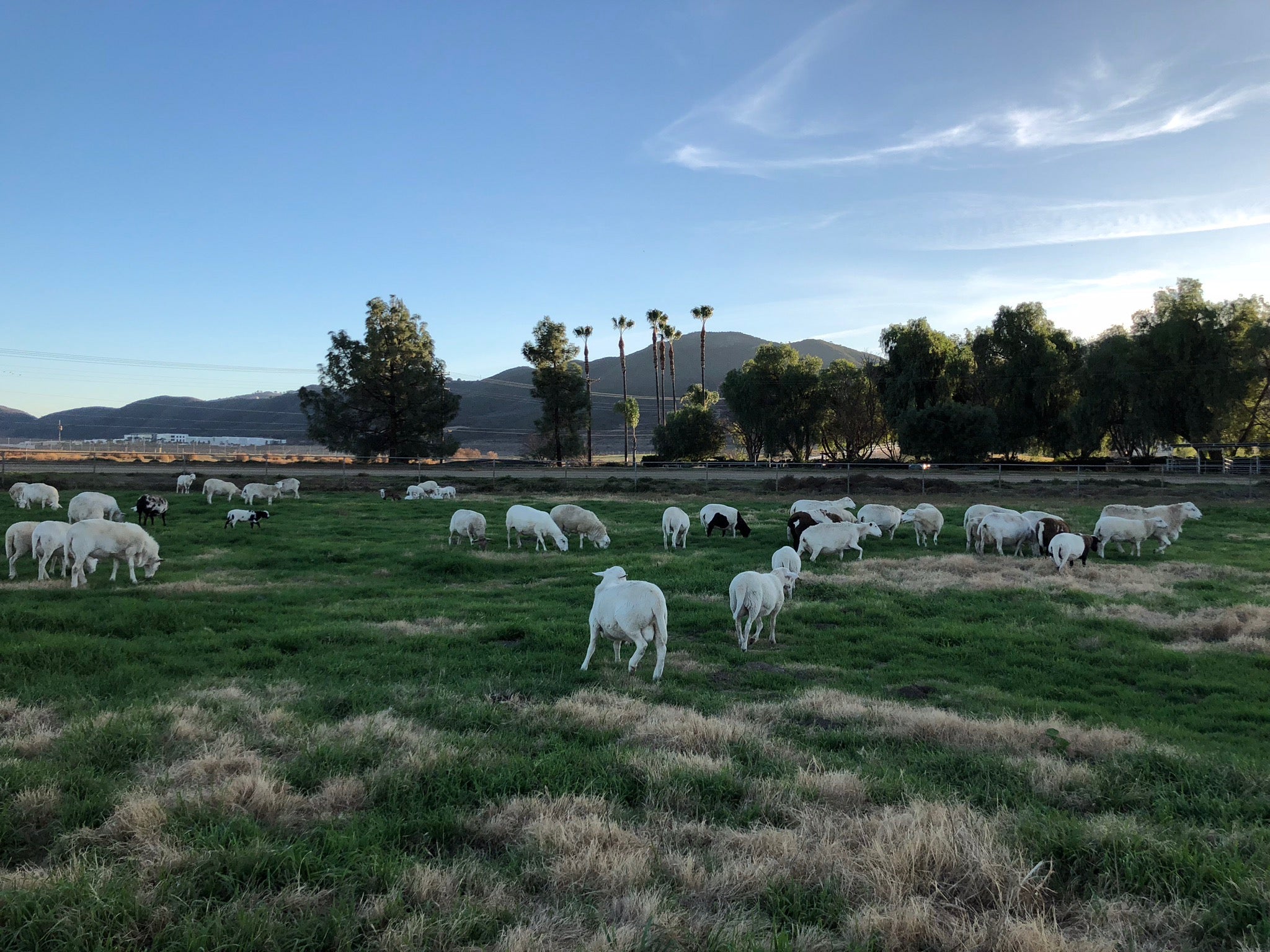 Upcoming Farm Events