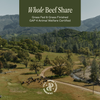 Whole Beef Share