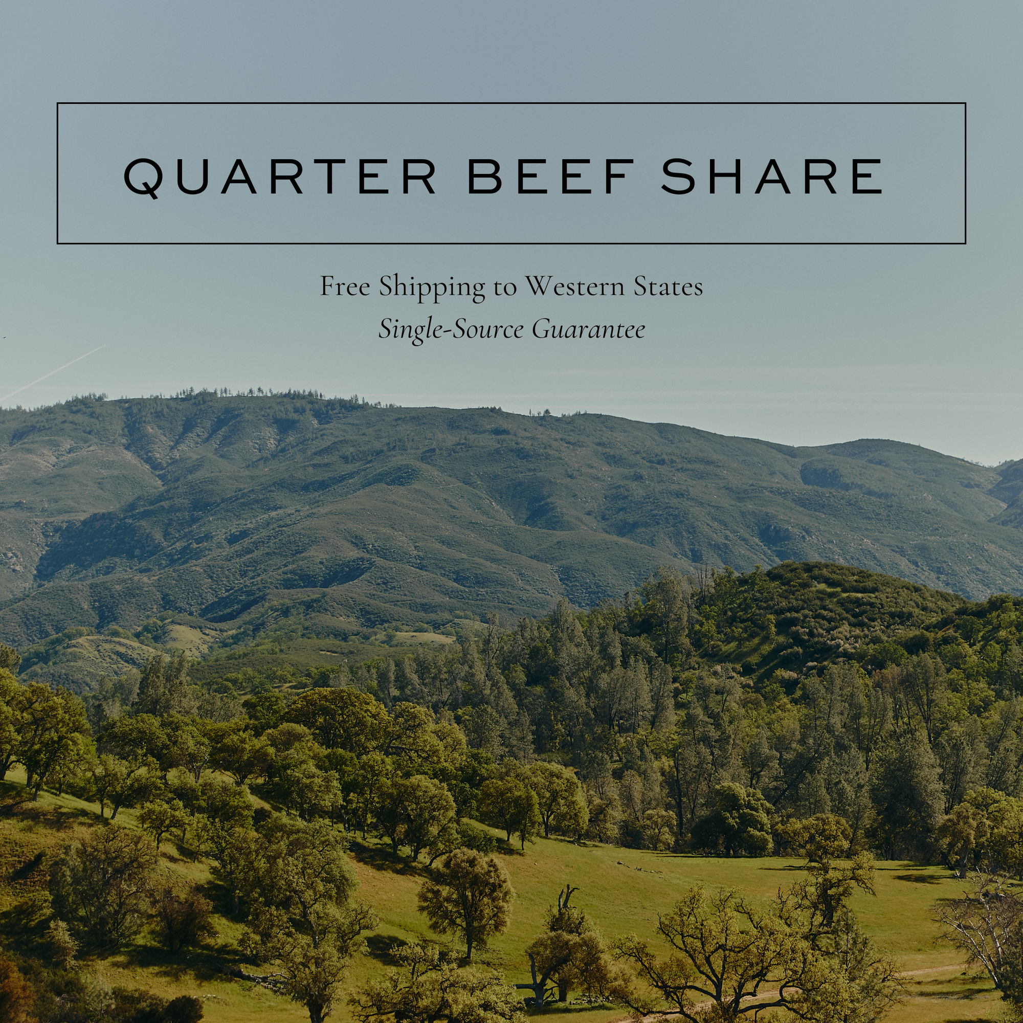 Quarter Share Beef Program