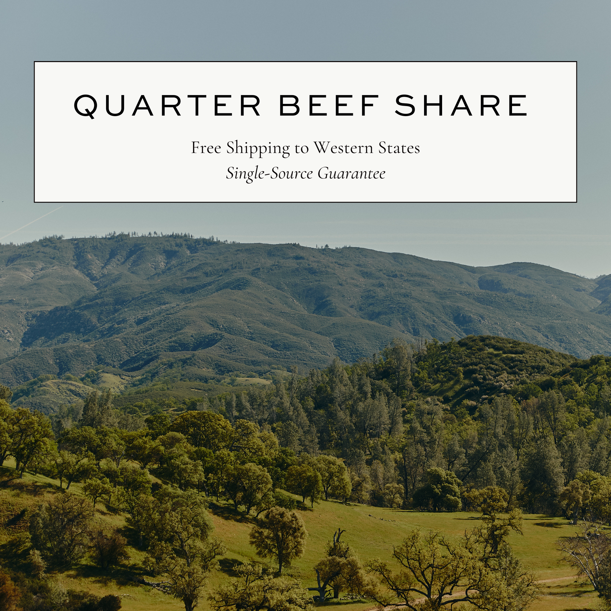 Quarter Share Beef Program