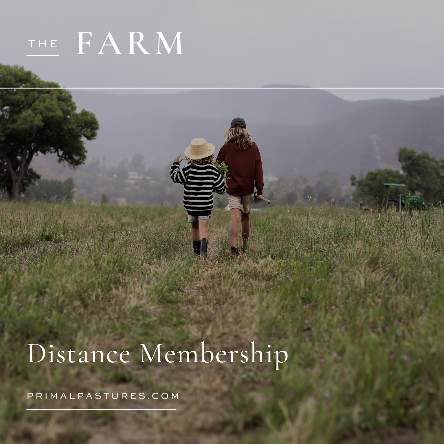 Distance Membership