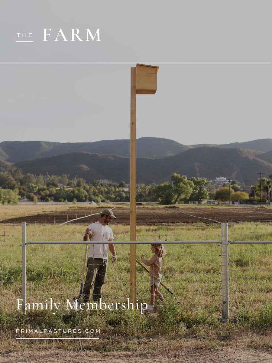 Family Membership (Earlybird)
