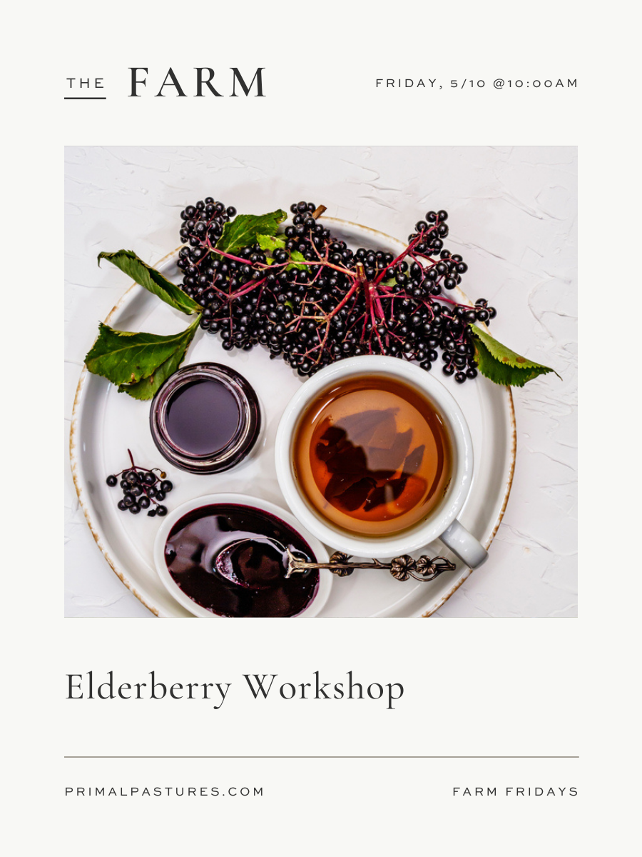5/10: Elderberry Workshop with Hailey