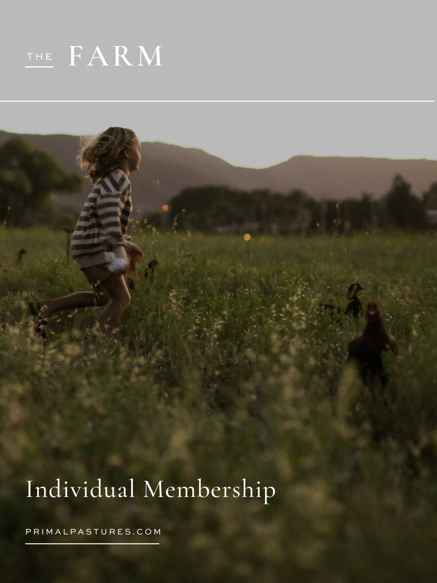 Individual Membership (Earlybird)
