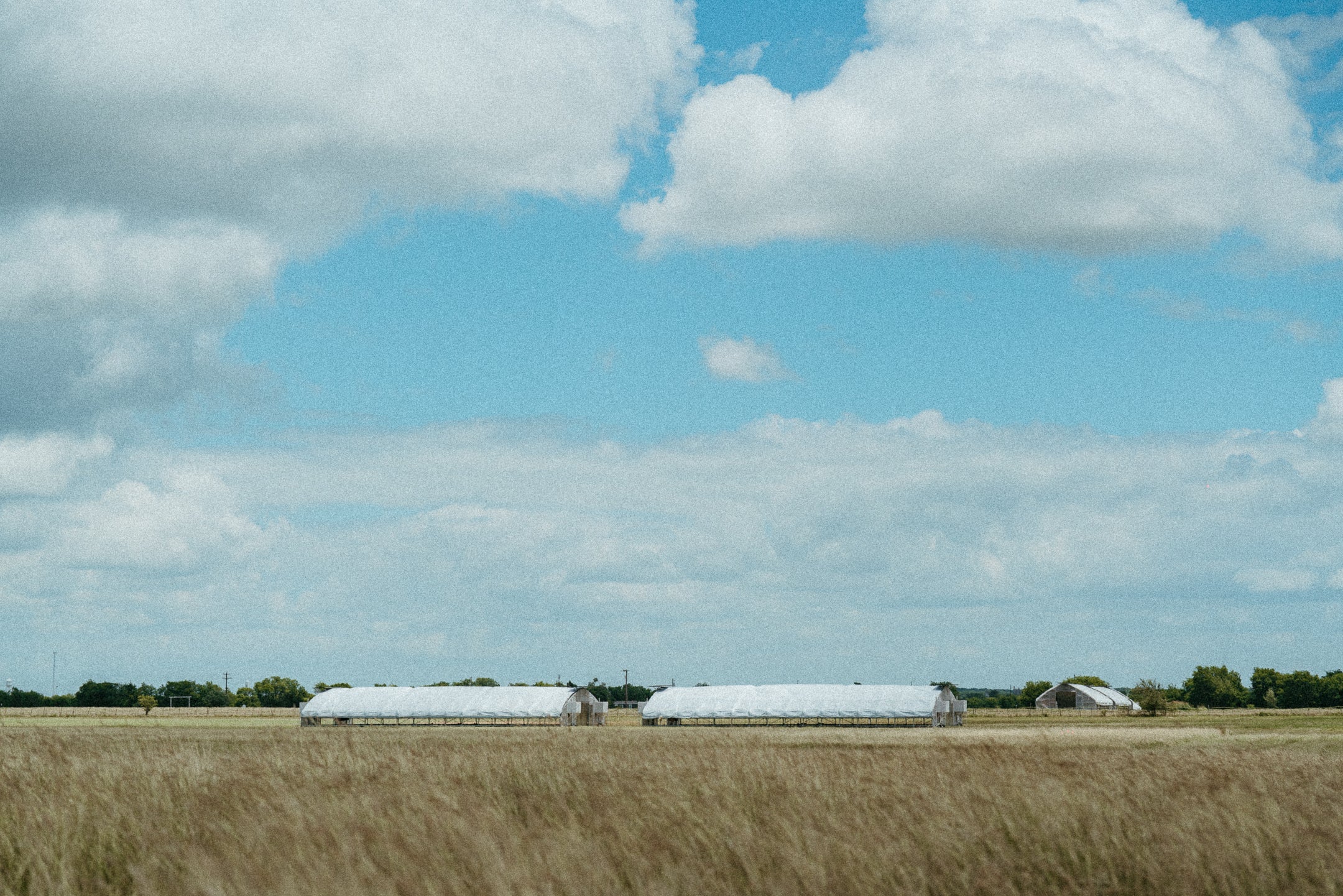 PP-Texas-33.jpg