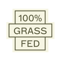 Seals_Individual-06.png