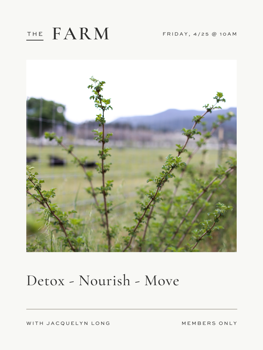 4/25: Detox - Nourish - Move with Jacquelyn Spring Edition