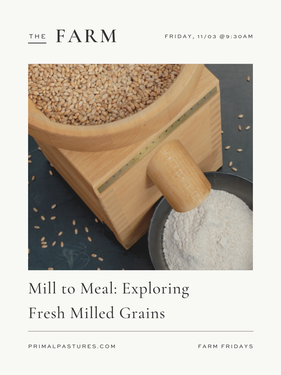 11/3: Exploring Fresh Milled Grains