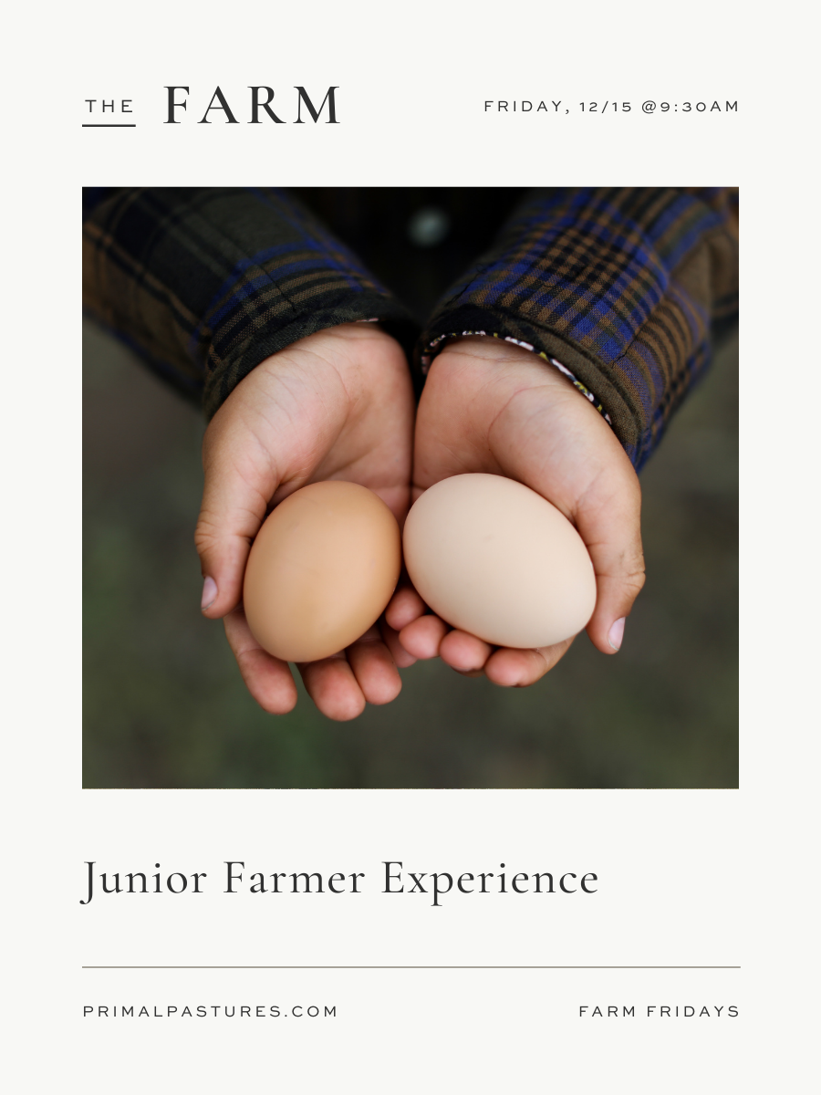 12/15/23: Junior Farmer for a Day