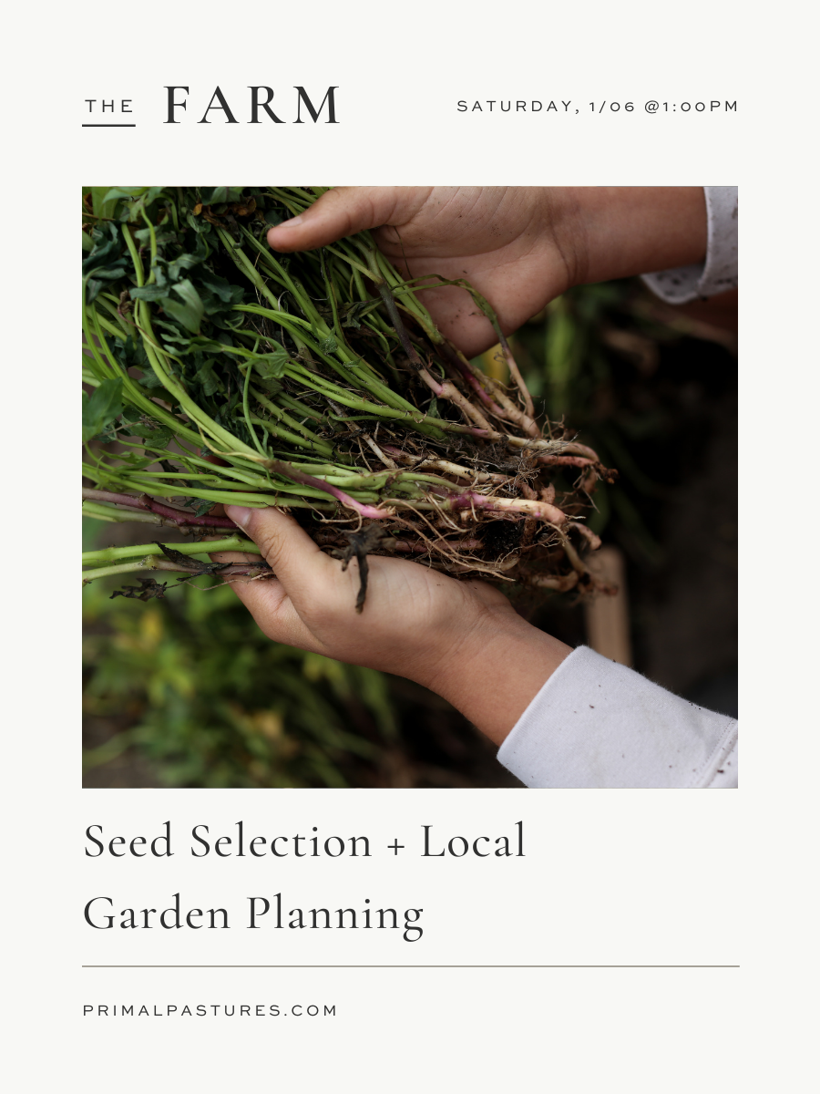 1/06/24: Seed Selection + Local Garden Planning