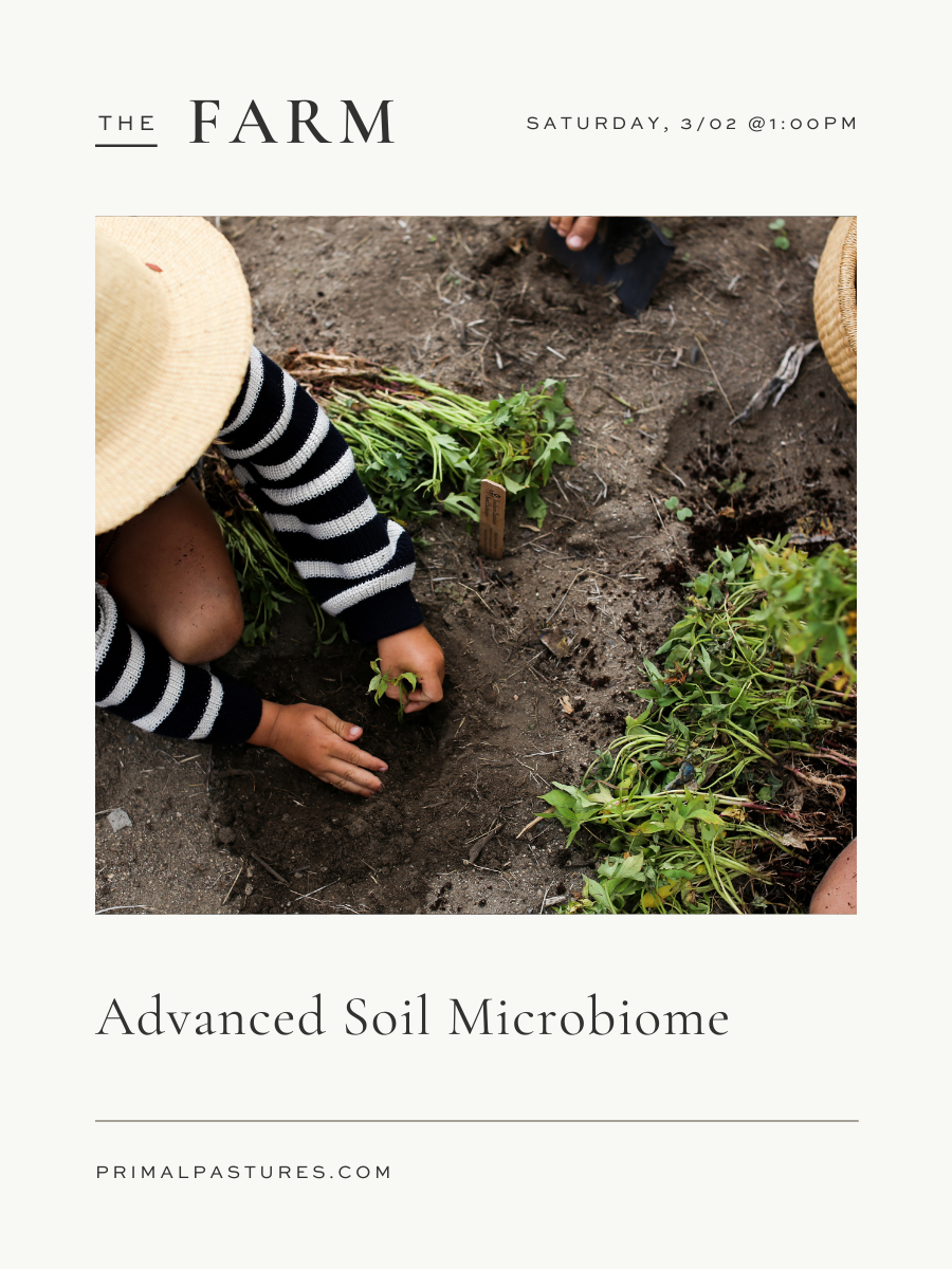 3/02/24: Advanced Soil Microbiome