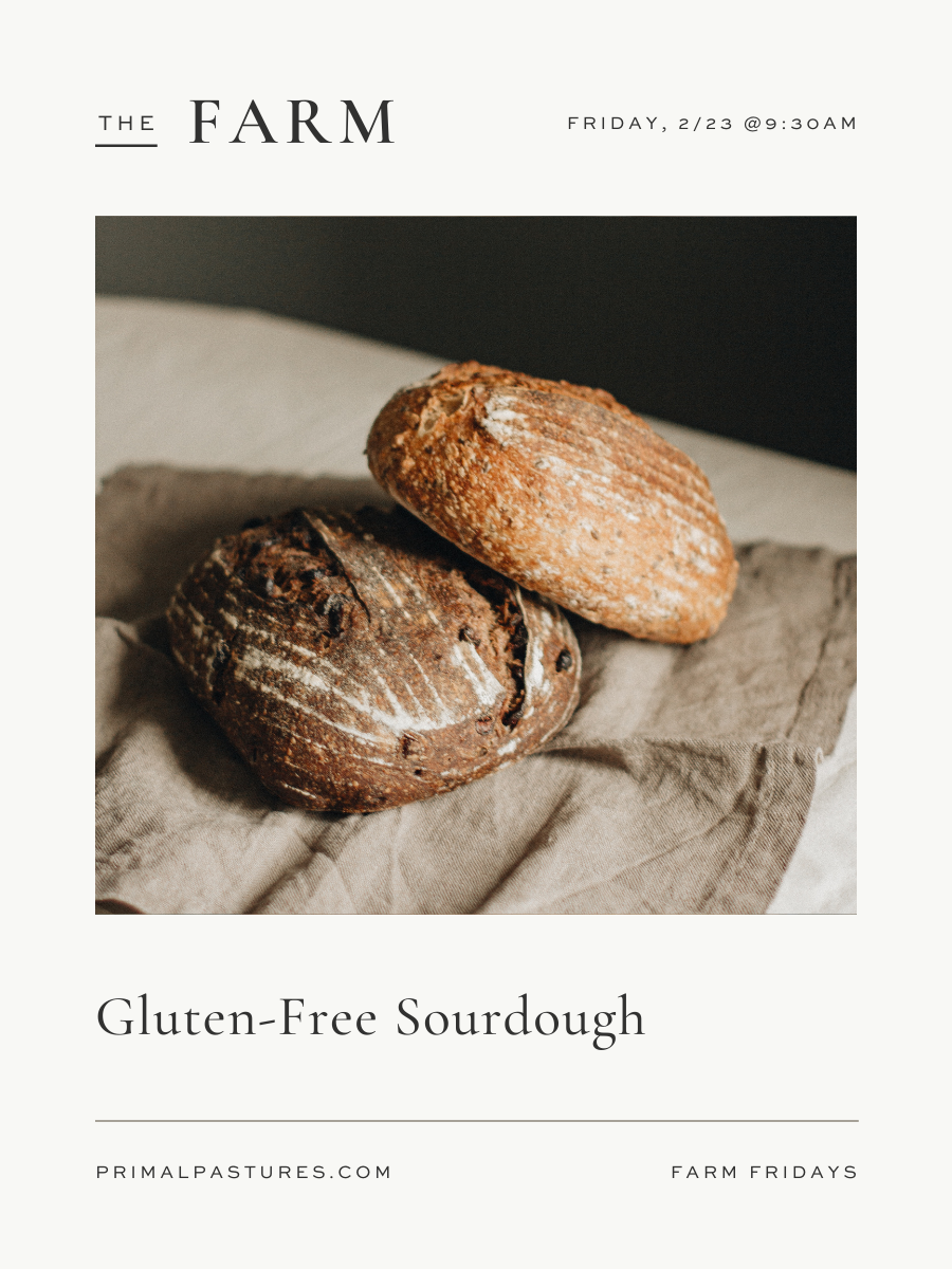 2/23/24: Gluten-Free Sourdough with Andrea Bomstad