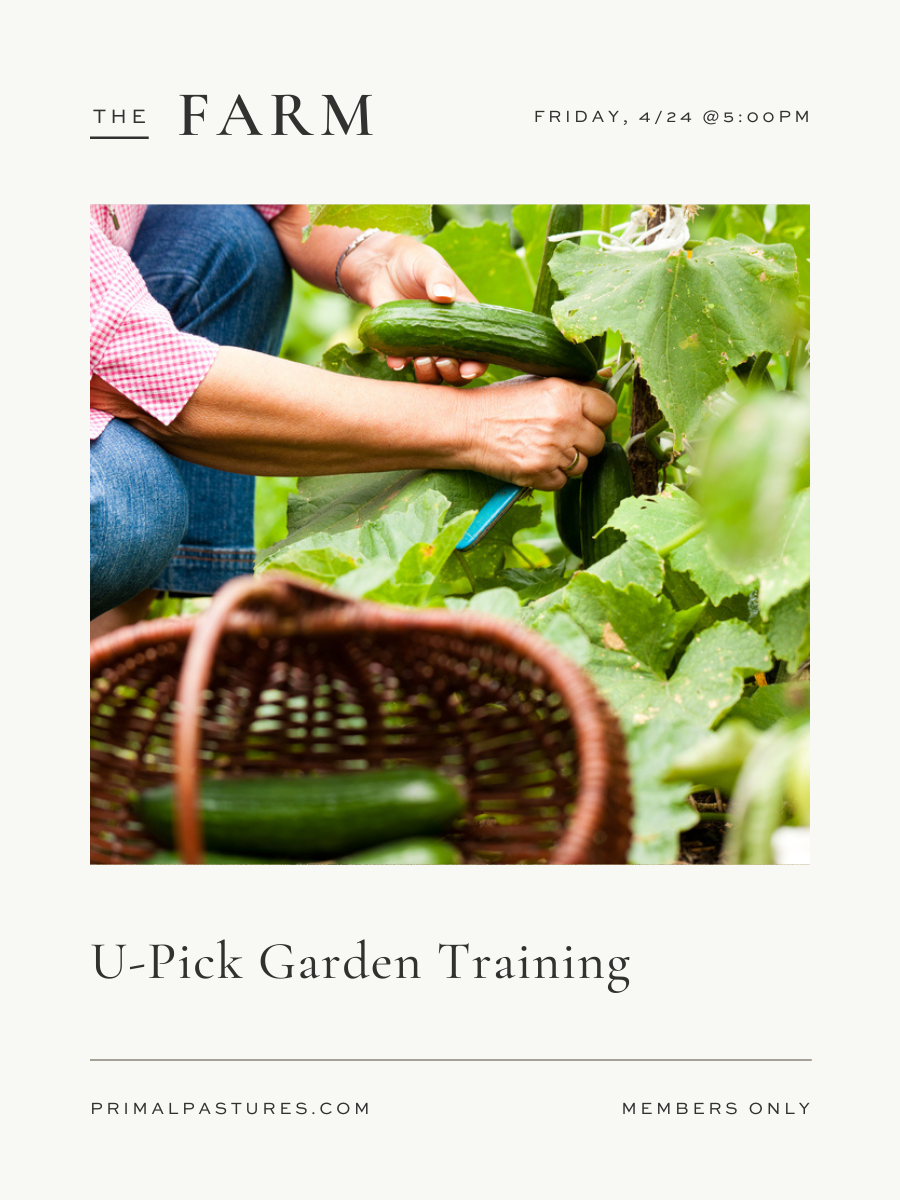 4/26: U-Pick Garden Training with Laura