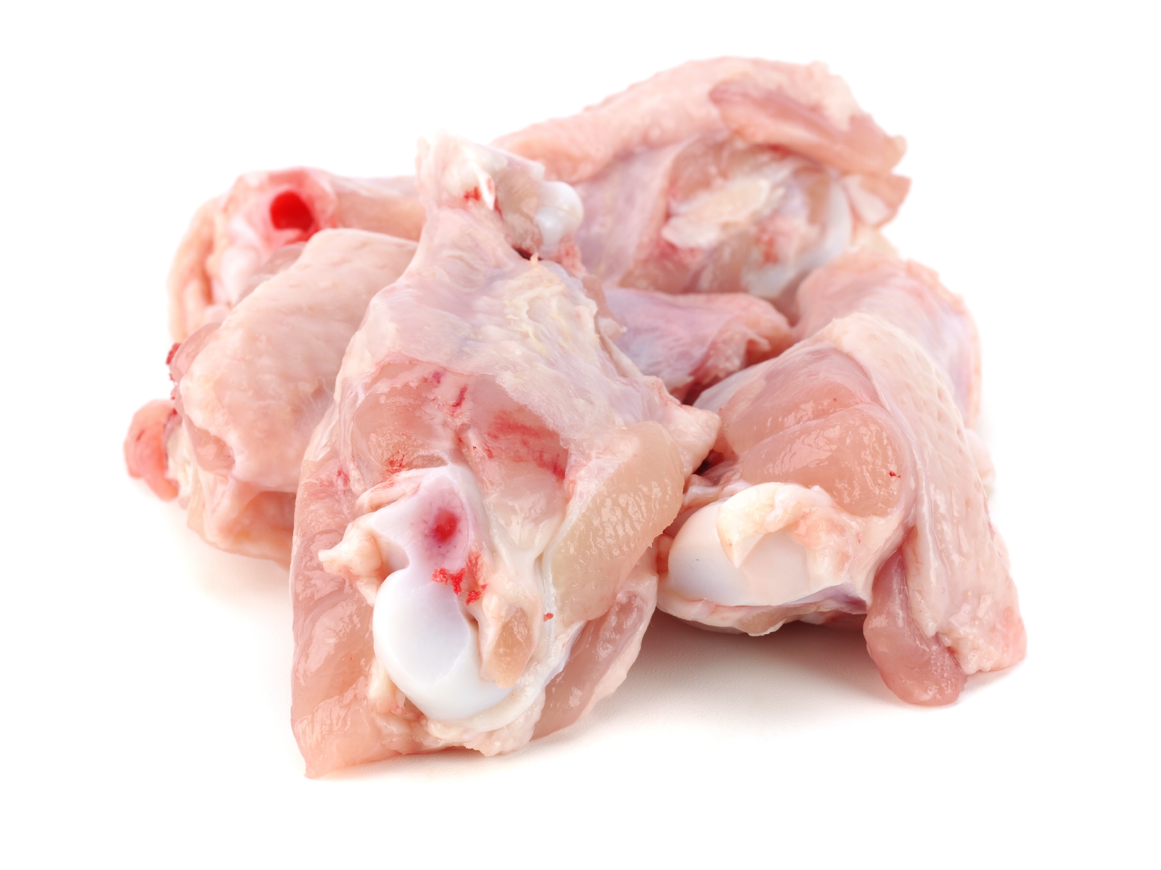 organic chicken backs raw pet food