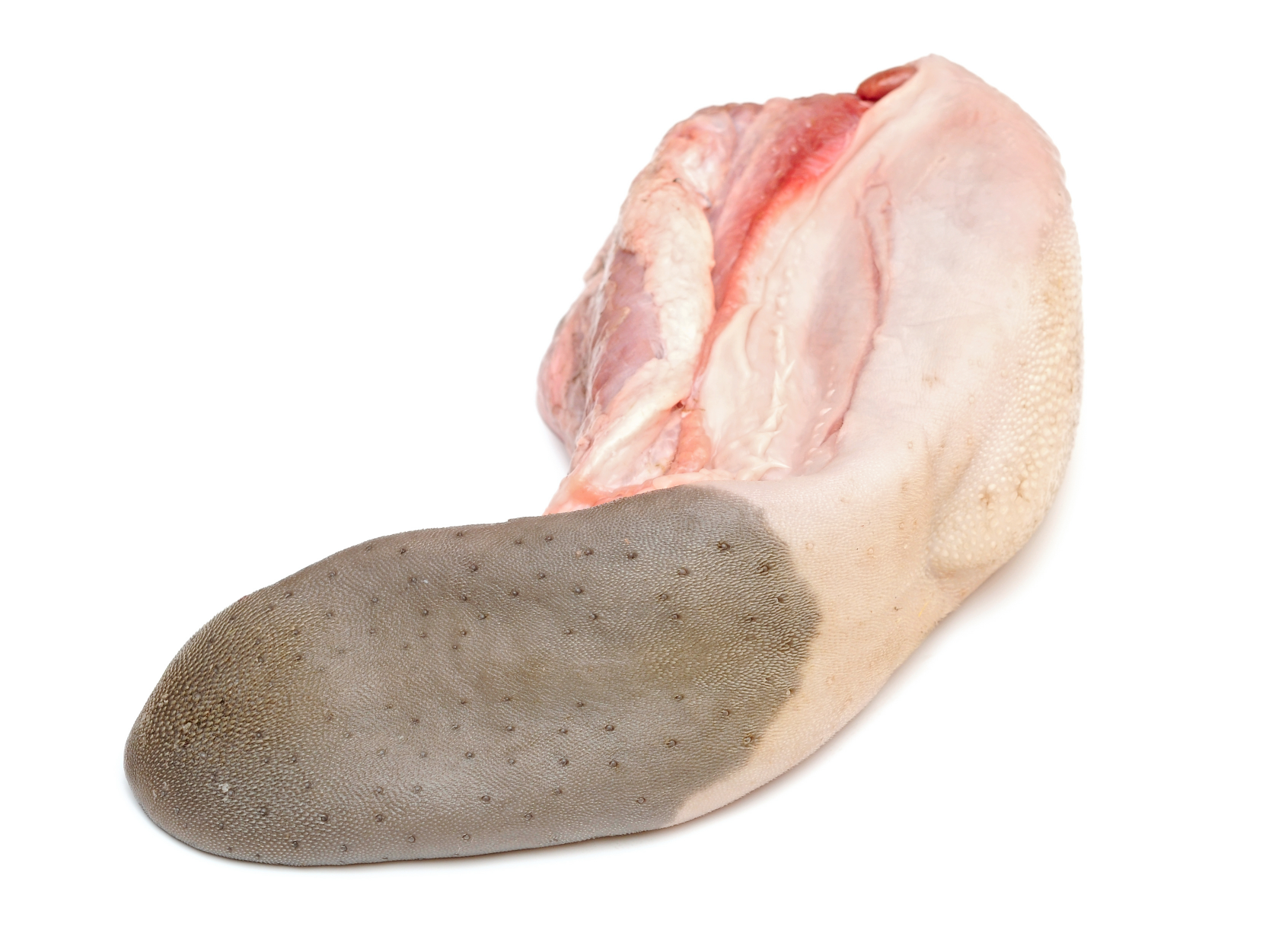 pasture raised beef tongue raw dog food