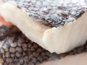 Wild White Sea Bass